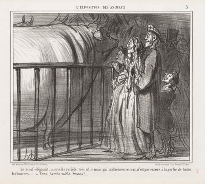 Exposición de Animales: Pl. 5, La Vaca-Elefante, Nueva Variedad de Honoré Daumier