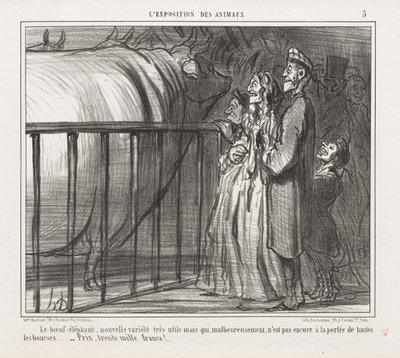 Exposición de Animales: La Vaca-Elefante, Nueva Variedad de Honoré Daumier