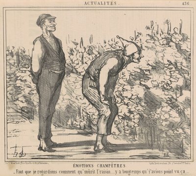 Debo observar cómo madura la uva... de Honoré Daumier