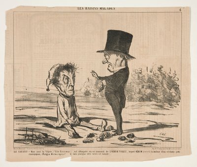 El Erudito - Mi amigo, la Vid, (Vitis Linnaeus.), está bajo ataque en este momento de Honoré Daumier