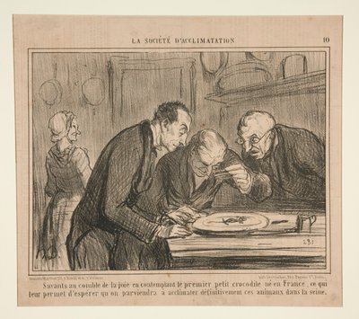 Científicos en el colmo de la alegría contemplando el primer pequeño cocodrilo de Honoré Daumier