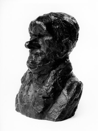Los bustos de las “Celebridades del Justo Medio” Caricatura de Auguste Ganneron (1792-1847), diputado e industrial. El tímido. Escultura de Honoré Daumier (1808-1879) siglo XIX. de Honoré Daumier