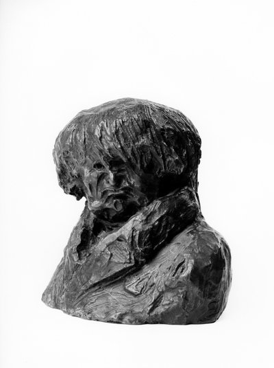 Los bustos de las “Celebridades del Justo Medio” Caricatura de Clément Prunelle (1777-1853), doctor, diputado y alcalde de Lyon. Escultura de Honoré Daumier (1808-1879) siglo XIX. de Honoré Daumier
