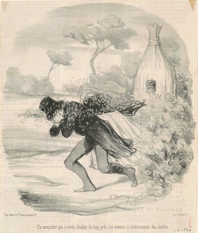 Un señor que quiso estudiar... las costumbres... de las abejas de Honoré Daumier