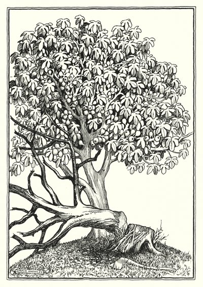 Ilustración del Sermón de la Montaña (grabado) de Horace J. Knowles