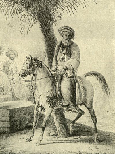 Muhammad Ali de Egipto de Emile Jean Horace Vernet
