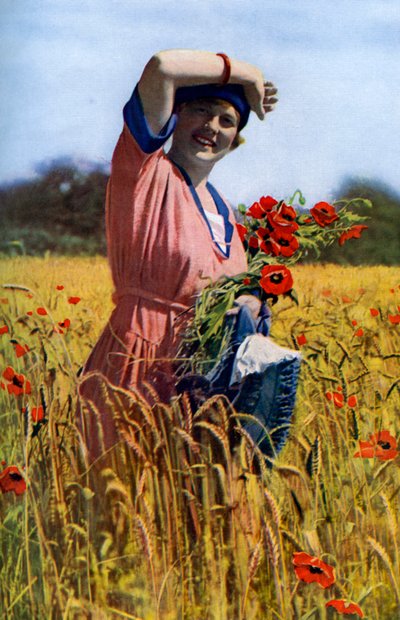 La rosa inglesa, c1922 de Horace Walter Nicholls