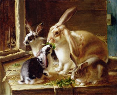 Conejos de orejas largas en una jaula, vigilados por un gato de Horatio Henry Couldery
