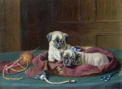 Cachorros de carlino en una cesta (panel) de Horatio Henry Couldery