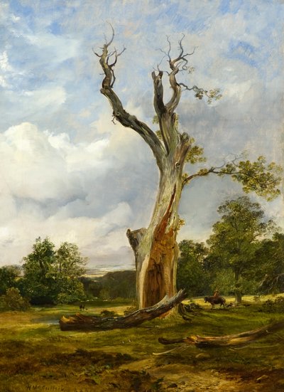 El árbol arrasado, c.1838 de Horatio McCulloch