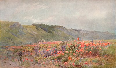 El valle de las amapolas, c1879-1903, 1903 de Howard Gull Stormont