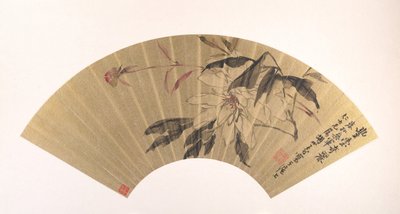 Peonía Herbácea de Hu Yuan