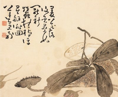 Hoja de álbum pintada - Planta de loto de Huang Shen