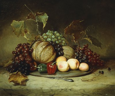 Naturaleza muerta abundante, 1855 de Hugh Newell
