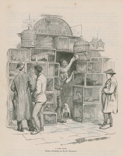 Una tienda de pájaros de Hugh Thomson
