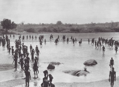 África: Morus construyendo un puente cerca de Amadi (foto b/n) de Hugo Adolf Bernatzik