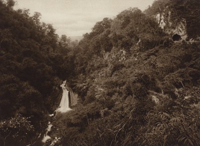 Mexico: Atoyac, Salto de agua (b/w photo) de Hugo Brehme