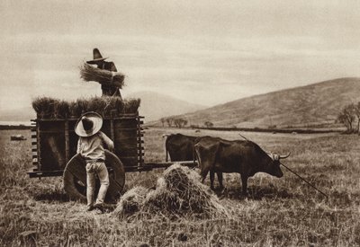 Mexico: Campesinos cosechando trigo (b/w photo) de Hugo Brehme