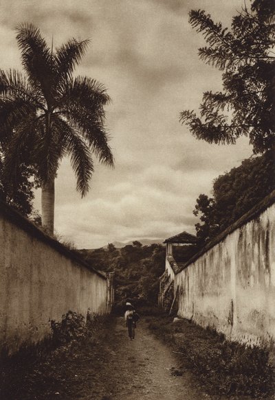 Mexico: Cuernavaca, Calle conduciendo a la aldea de San Antonio (b/w photo) de Hugo Brehme