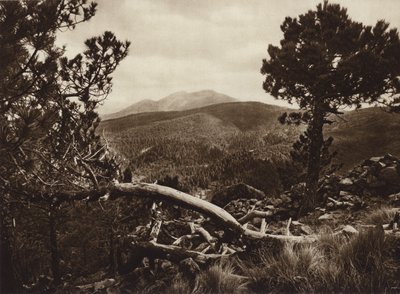 Mexico: El Ajusco, visto desde San Miguel (b/w photo) de Hugo Brehme