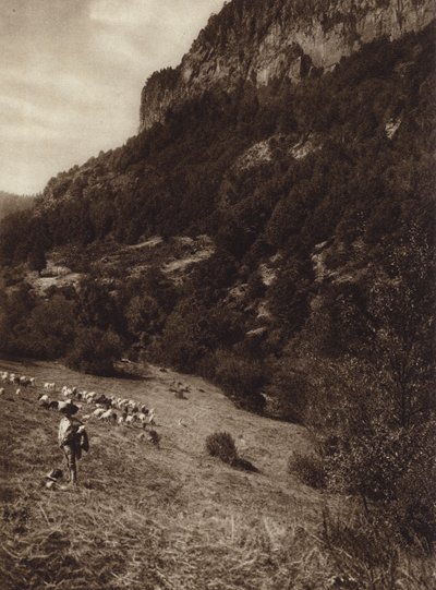 Mexico: La Canada, Contreras, D F (b/w photo) de Hugo Brehme
