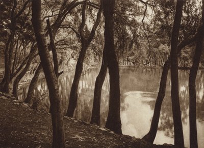 Mexico: Las fuentes de Tlalpam D F (b/w photo) de Hugo Brehme