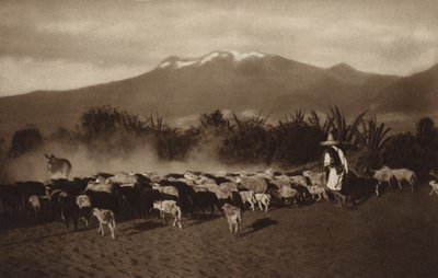 Mexico: Los alrededores de Amecameca (b/w photo) de Hugo Brehme