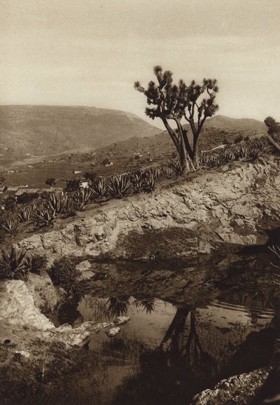 Mexico: Los alrededores de Toluca (b/w photo) de Hugo Brehme
