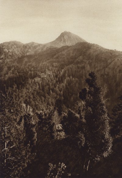 México: Nevado de Colima, Vista parcial (foto b/n) de Hugo Brehme