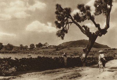 Mexico: Patzcuaro, El Calvario, Estado de Michoacan (b/w photo) de Hugo Brehme
