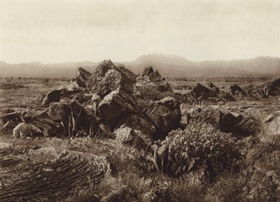 México: Pedregal, Corriente de basalto-lava cerca de San Angel (foto b/n) de Hugo Brehme