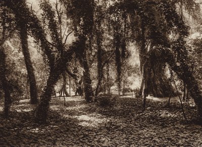 Mexico: Puesto idilico en el parque de Chapultepec (b/w photo) de Hugo Brehme