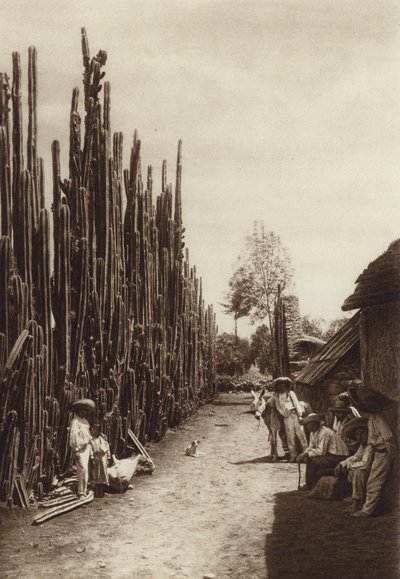 Mexico: Santiago, Calle de aldea caracteristica con cacteas en forma de columnas (b/w photo) de Hugo Brehme
