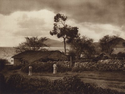 Mexico: Vista por el Lago de Chapala (b/w photo) de Hugo Brehme