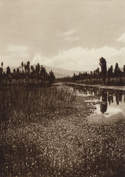 Mexico: Xochimilco, Uno de los canales principales (b/w photo) de Hugo Brehme