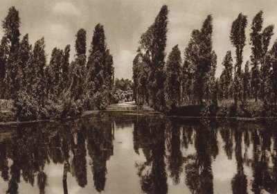 Mexico: Xochimilco con los asi llamados "Jardines flotantes" (b/w photo) de Hugo Brehme