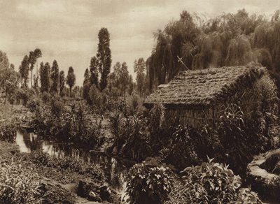 Mexico: Xochimilco con los asi llamados "Jardines flotantes" (b/w photo) de Hugo Brehme