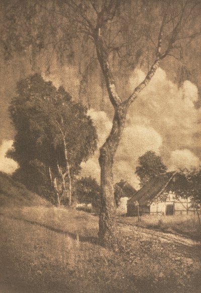 Camera Work: Pomeranian Motif de Hugo Henneberg