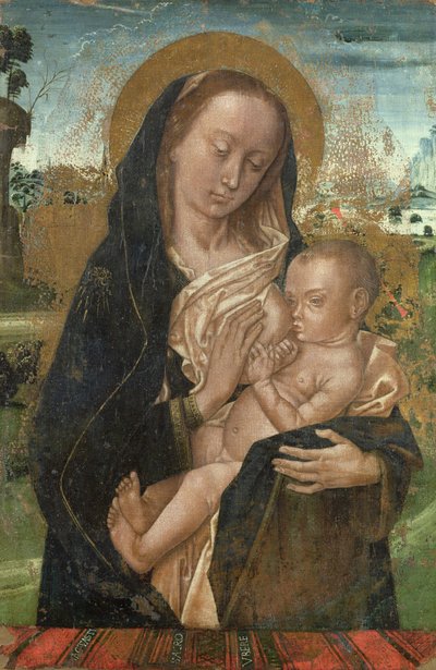 La Virgen María calmando al niño Jesús de Hugo van der studio of Goes