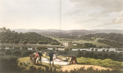 Vista general de Longleat desde Prospect Hill, de 