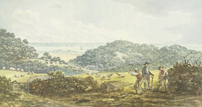 Vista panorámica 