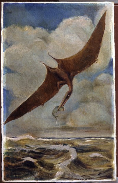 Un pterodáctilo. c.1880 de Hungarian School