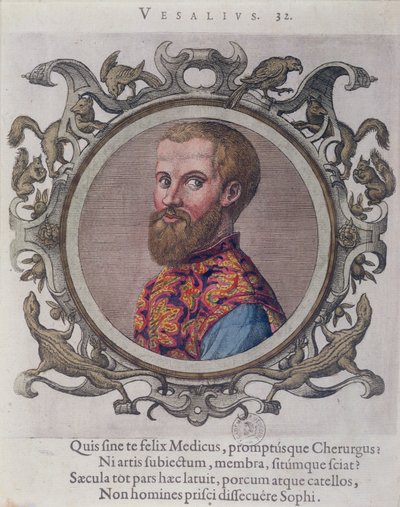 Retrato de Andreas Vesalius (1514-64) de Receuil des Portraits de Medecins por el doctor húngaro, Sambucus, 1574 de Hungarian School