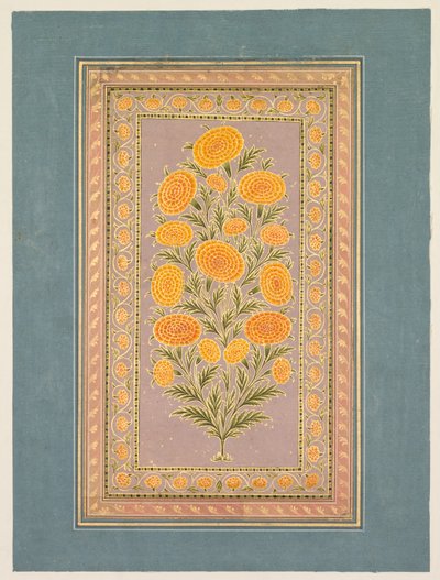 Caléndula en flor de Hunhar II