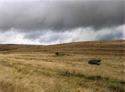 Túmulo en Salisbury Plain, Wiltshire de IJ Leonard
