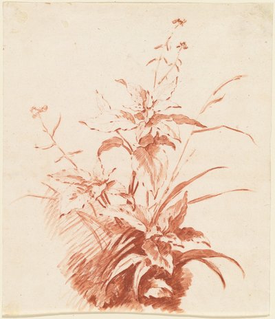 Planta con Flores y Hierba de I Jean Baptiste Hüet