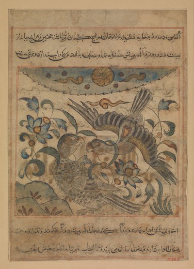 Par de águilas, Folio de un Manafi
