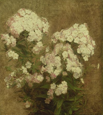 Phlox, 1870 de Ignace Henri Jean Fantin Latour