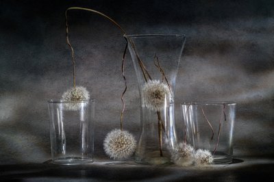  de Igor Kopcev