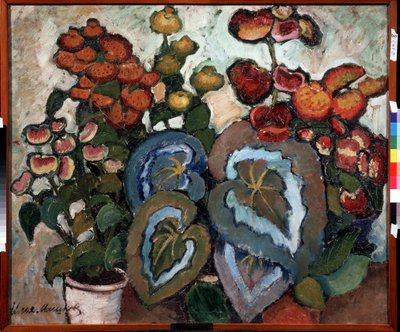 Begonias. Peinture de Ilya Ivanovich Mashkov (Ilia Machkov, Matchkov) (1881-1944), huile sur toile. de Ilya Ivanovich Mashkov
